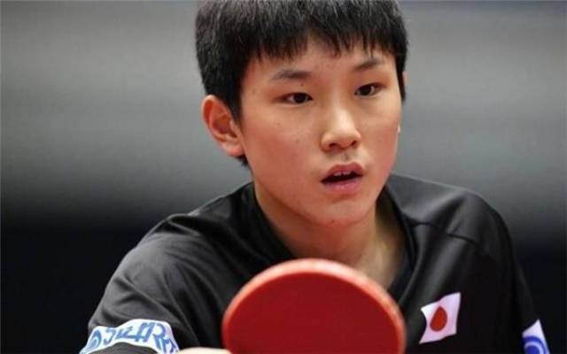 懈和追求卓 懈和追求卓